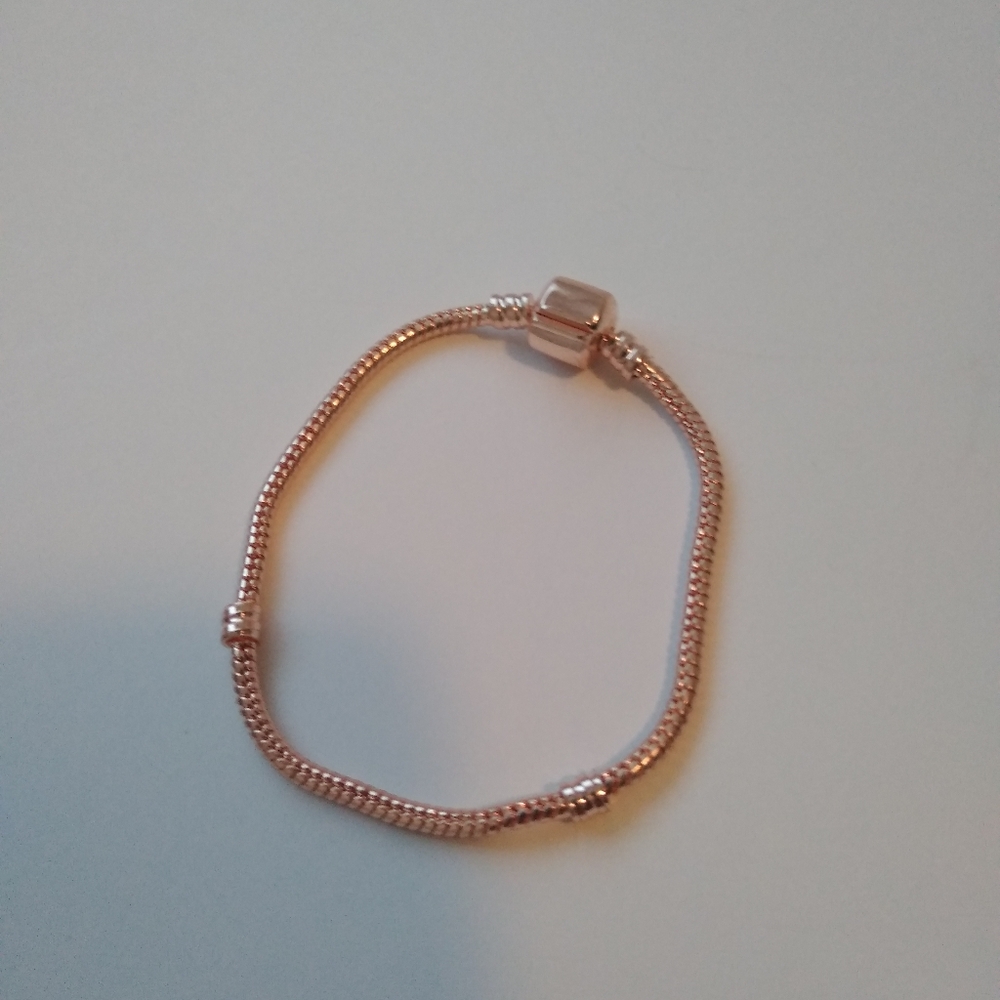 Rose Gold Charm Bracelet Starter Bracelet